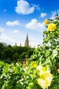 Rathaus from the park