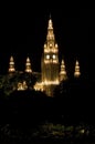 Rathaus Vienna Royalty Free Stock Photo