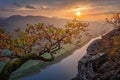 Rathen, Germany - Beautiful autumn sunset scenery at the top of Bastei with bright vivid colured tree leaves above the Elbe river