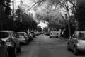 A rather beautiful street at the heart of athens