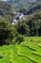 Rathna Ella, at 111 feet, is the 10th highest waterfall in Sri Lanka, situated in Kandy District.