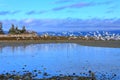 Rathtrevor Beach Provincial Park near Parksville on Vancouver Island, British Columbia