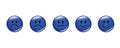 Rating smiley faces round blue