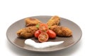 Ration of Croquettes Royalty Free Stock Photo