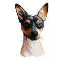 Ratonero Valenciano dog portrait isolated on white. Digital art illustration of hand drawn dog for web, t-shirt print and puppy