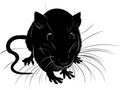 Rats animal vector black silhouette on a white background Royalty Free Stock Photo