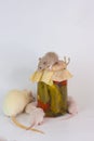 Rats on a glass jar with salads on a white