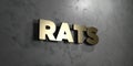 Rats - Gold sign mounted on glossy marble wall - 3D rendered royalty free stock illustration