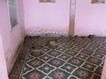 Rats in a hall of the Karni Mata Rat Temple in Deshnok, India Royalty Free Stock Photo