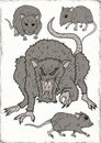 Rats illustration