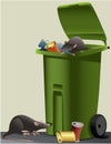 Rats in the rubbish dump