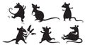 Rats Royalty Free Stock Photo