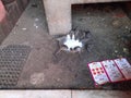 Rats in Shri Karni Mata temple in Deshnoke Royalty Free Stock Photo