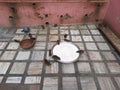 Rats in Shri Karni Mata temple âTemple of Ratsâ Royalty Free Stock Photo