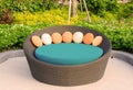 Rattan armchair furniture in garden