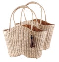 Rattan Bag