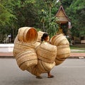 Rattan basket carrier