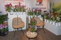 Rattan chairs and wooden side tables beautifully decorated with blooming orchids