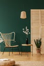 Rattan chandelier above wicker chair next to wooden table with black glass vase with cotton flower, copy space on the empty green Royalty Free Stock Photo