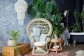 Rattan peacock chair and big monstera plant in loft room