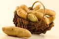 Ratte du Touquet potatoes Royalty Free Stock Photo