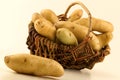 Ratte du Touquet potatoes