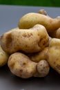 Ratte potato, La Ratte, La Reine Ratte du Touquet, or Asparges small potato with unique nutty flavor and smooth, buttery texture