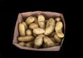 Ratte potato in studio Royalty Free Stock Photo