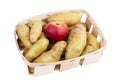 Ratte, potato in a tray with an apple so it doesn`t sprout