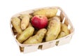 Ratte, potato in a tray with an apple so it doesn`t sprout Royalty Free Stock Photo