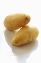 Ratte potatoes Royalty Free Stock Photo
