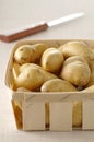 Ratte potatoes Royalty Free Stock Photo