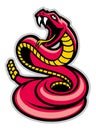 Rattle snake mascot