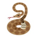 Rattlesnake. Illustrations for gaming applications design for teaching aids