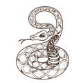 Rattlesnake. Illustrations for gaming applications design for teaching aids