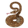 Rattlesnake. Illustrations for gaming applications design for teaching aids