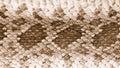 Rattlesnake Skin Leather 2