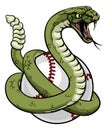 Rattlesnake Baseball Ball Animal Sport Team Mascot Royalty Free Stock Photo