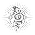 Rattlesnake snake tattoo Royalty Free Stock Photo