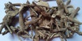 Rauvolfia serpentina roots, the Indian snakeroot, devil`s pepper or serpentine wood Sarpagandha is an medicinal herb.