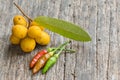 Rauwenhoffia siamensis Scheff fruit and chilis