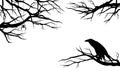 Raven and bare tree branches halloween background