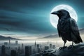 raven bird behind of moon Royalty Free Stock Photo