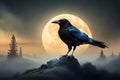 raven bird behind moon Royalty Free Stock Photo