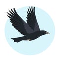 Raven bird flying in blue sky. Black raven icon.