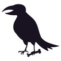 Raven Bird Icon Silhouette, Halloween Crow Shape