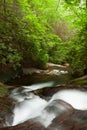 Raven Cliff Trail, Dode Creek. Royalty Free Stock Photo