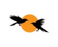 Raven birds silhouette flying on the moon, vector