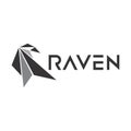 Raven geometric