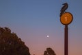 Wild raven silhouette signpost with full moon twilight sunset sky nature beauty view at Grand Canyon Arizona USa Royalty Free Stock Photo